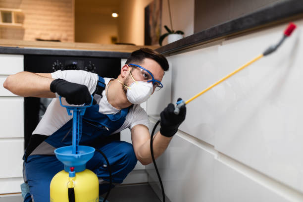 Best Termite Control Services  in Vernon, TX