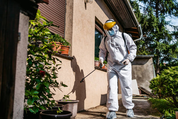 Best Rat Extermination Near Me  in Vernon, TX
