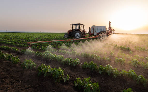 Best Best Pest Control Near Me  in Vernon, TX