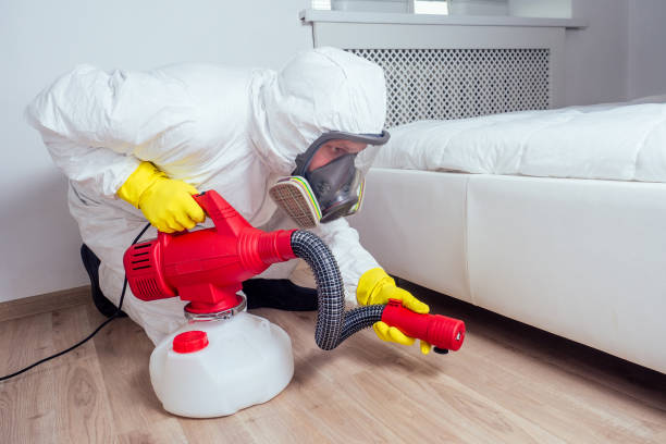 Best Affordable Pest Control Services  in Vernon, TX