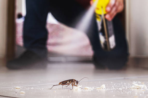 Best Commercial Pest Control Services  in Vernon, TX