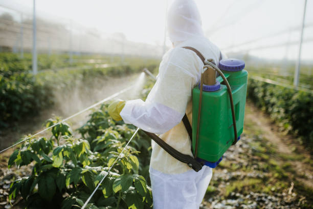Best Pest Control Near Me in Vernon, TX